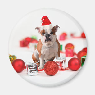 Bulldog Christmas Gift Box Ornaments Red Santa Hat Magnet