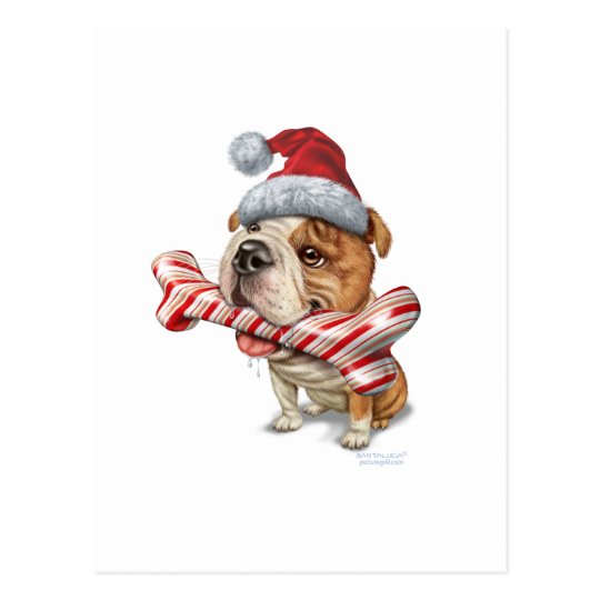 Bulldog christmas postcard