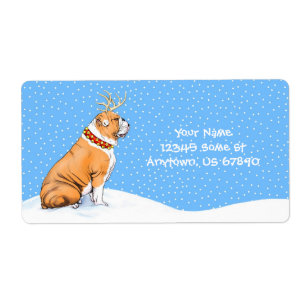 Bulldog Christmas Reindeer Rouge et blanc