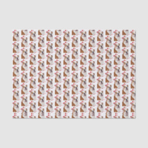 Bulldog Christmas Tissue Paper