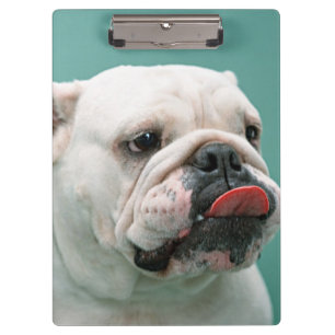 Bulldog Clipboard