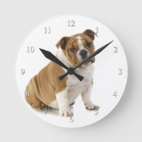 Bulldog Clock