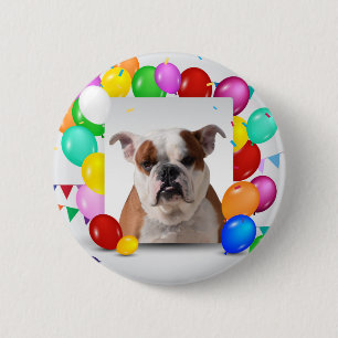 Bulldog Dog with colourful Balloons Birthday Theme 2 Inch Round Button