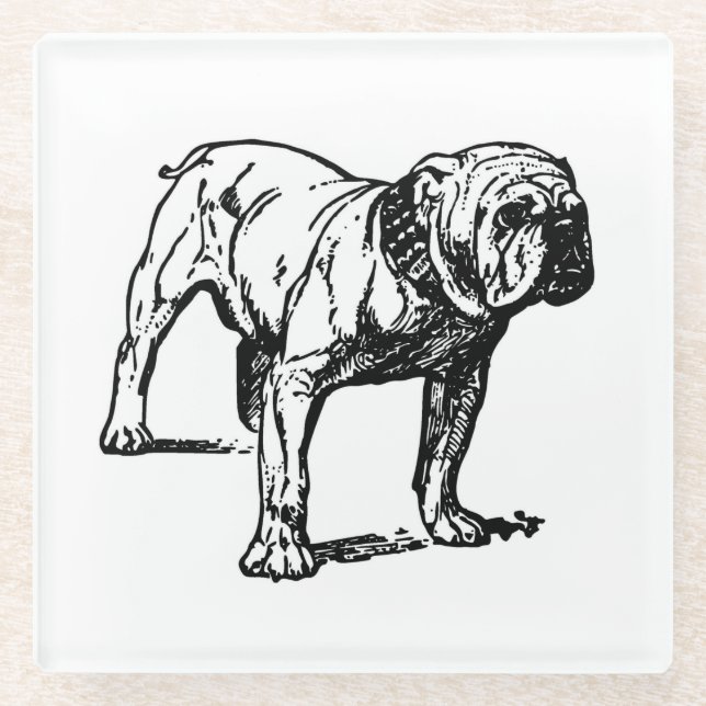 bulldog drawing glass coaster (Front)