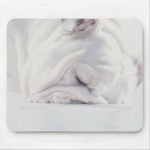 Bulldog Eating Mouse Pad