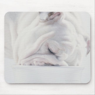 Bulldog Eating Mouse Pad