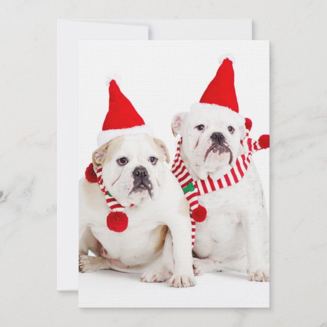 Bulldog Elves (Front)