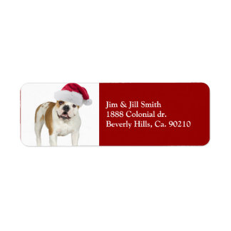 Bulldog En Noël À Santa Hat
