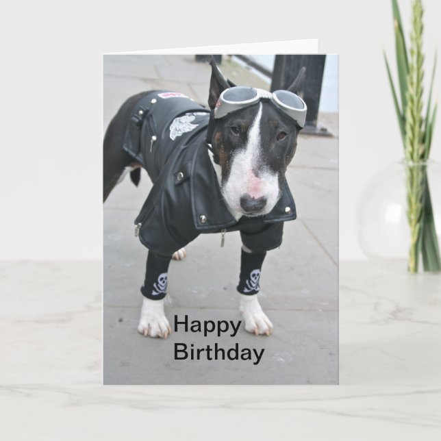 Bulldog en tenue gothique Bonne carte d'anniversai (Devant)