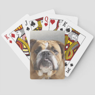 Bulldog Face - English Bulldog, Brown Playing Cards