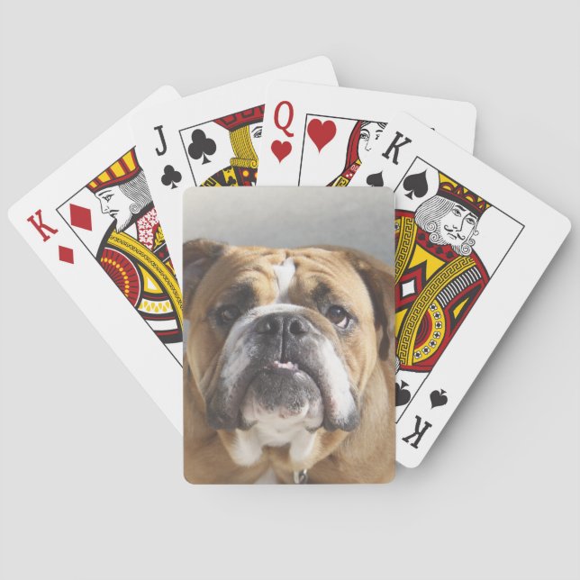 Bulldog Face - English Bulldog, Brown Playing Cards (Back)