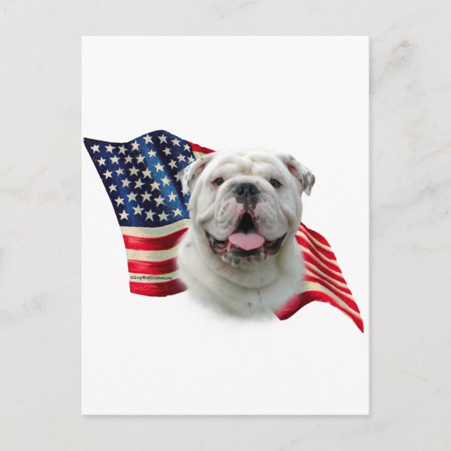 Bulldog Flag Postcard (Front)