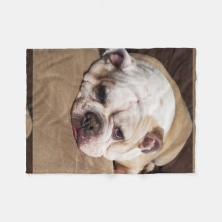bulldog fleece throw blanket