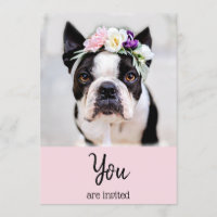 *~* Bulldog Français  Invitation pour l'événement 