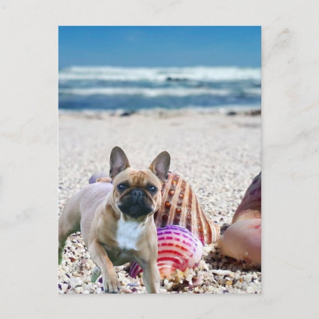 Bulldog français sur la carte postale de la plage (Devant)