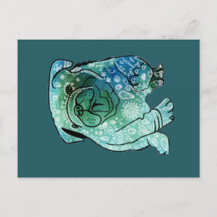 Bulldog French Buldog Postcard