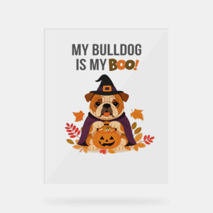 Bulldog Halloween Costume  My Bulldog is My Boo Do Acrylic Sign