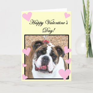 Bulldog Happy Valentine's Day Greeting card