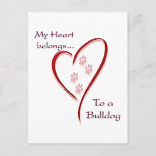 Bulldog Heart Belongs Postcard