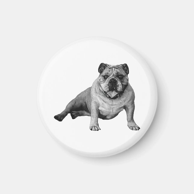Bulldog Holiday Fridge Magnet (Front)