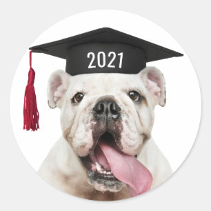 Bulldog in Graduation Cap with Class Year Classic Round Sticker