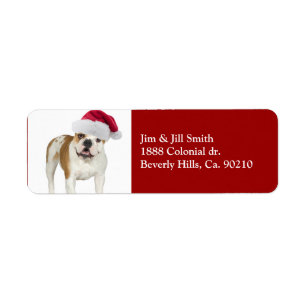 Bulldog In Santa Hat Christmas