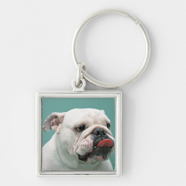 Bulldog Keychain (Front)