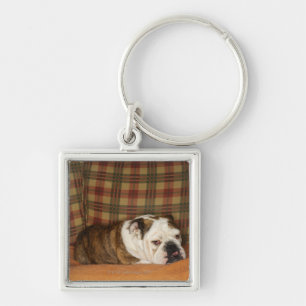bulldog lying on a sofa keychain