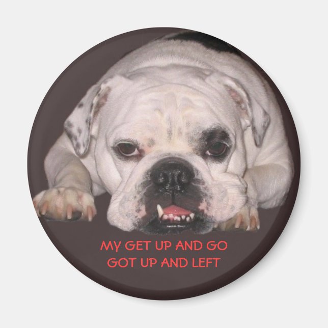 Bulldog Magnet (Devant)