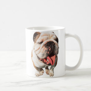 bulldog mug