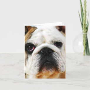 Bulldog Note Card