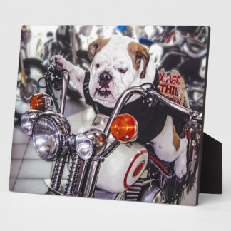 Bulldog on Motorcycle Plaque