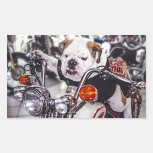 Bulldog on Motorcycle Sticker
