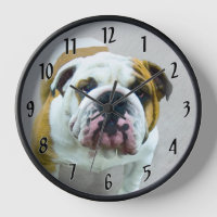 Bulldog Painting - Cute Original Dog Art