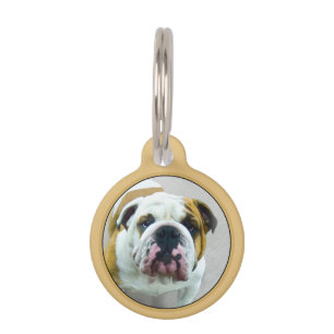 Bulldog Painting - Cute Original Dog Art Pet Tag