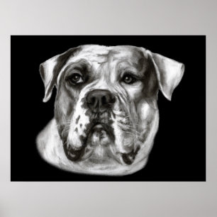 Bulldog Painting Poster