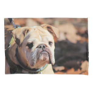Bulldog Pillowcase