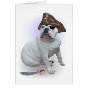 Bulldog pirate