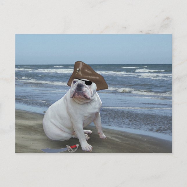 Bulldog Pirate on the beach Postcard (Front)