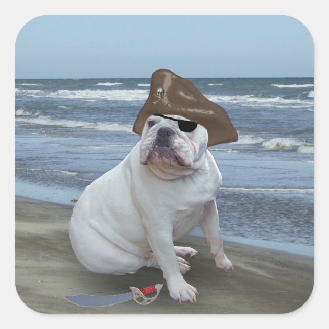 Bulldog pirate square sticker (Front)