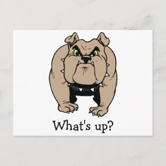 Bulldog Postcard