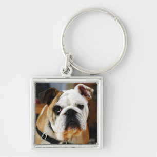 Bulldog Premium Keychain