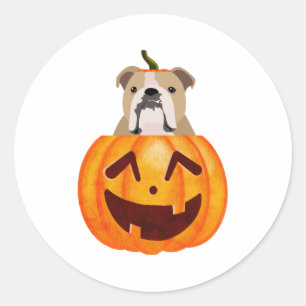 Bulldog Pumpkin   Classic Round Sticker