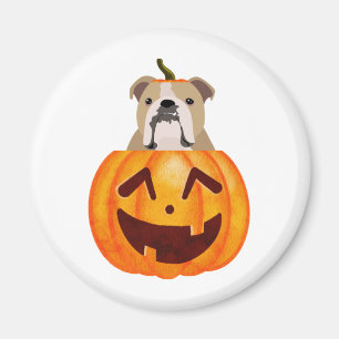 Bulldog Pumpkin Magnet