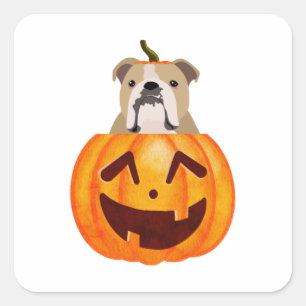 Bulldog Pumpkin     Square Sticker