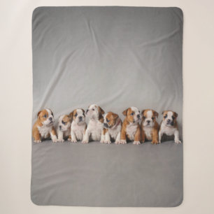 Bulldog Puppies Cute English Bulldog Puppies Sherpa Blanket