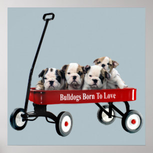 Bulldog Puppies In Wagon Print