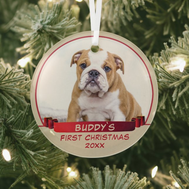 Bulldog Puppy 1st Christmas Red Ribbon Dog Photo Glass Ornament (Insitu)