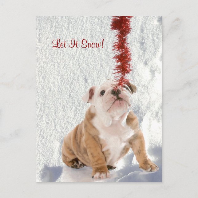 Bulldog Puppy Let It Snow #2 Holiday Greeting Postcard (Front)