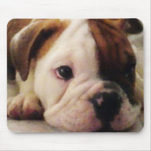 Bulldog puppy mouse pad